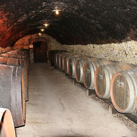 Chambres D'Hotes - Domaine Gigou Ла-Шартр-сюр-ле-Луар Экстерьер фото