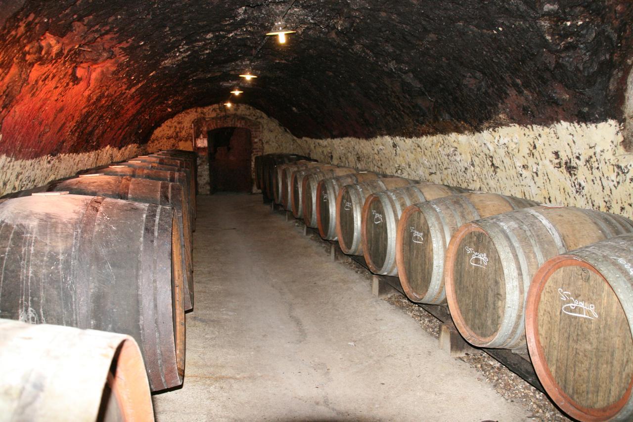 Chambres D'Hotes - Domaine Gigou Ла-Шартр-сюр-ле-Луар Экстерьер фото